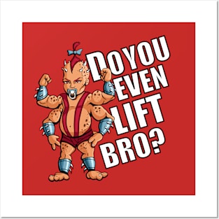 Do You Even Lift Bro? Posters and Art